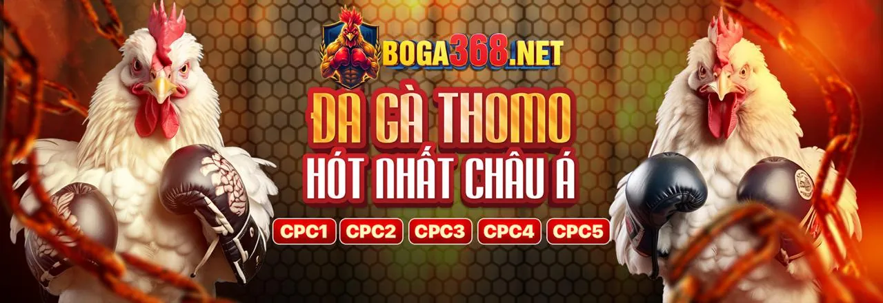 Đá gà kịch tính tại 1898bet